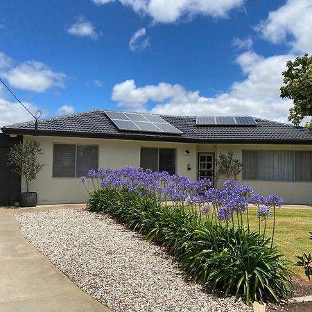 Willa Para House, Tanunda. In The Heart Of The Barossa Valley!. Zewnętrze zdjęcie